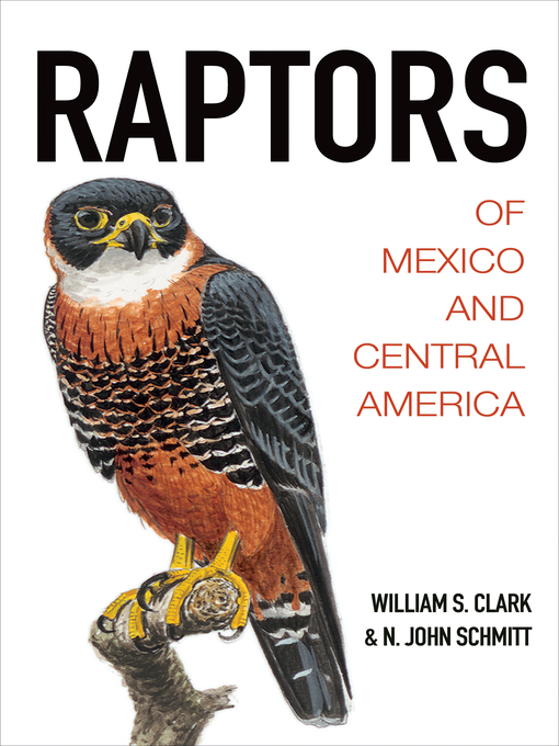 Title details for Raptors of Mexico and Central America by William S. Clark - Available